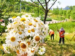 -四里河滨水生态公园