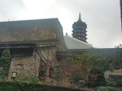 -普陀山佛顶山索道