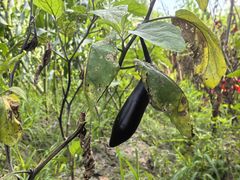 -松浦·观江国际