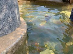 -太白山御龙湾温泉