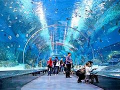 -成都浩海立方海洋公园