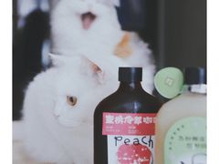 -奈雪的茶(漫广场店)