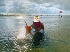 -北海金海湾红树林生态旅游区