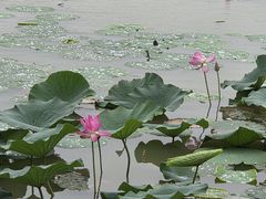 -云龙湖旅游景区