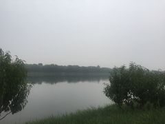 -五环公园