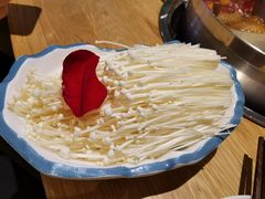 -青瓷火锅料理(西单大悦城店)