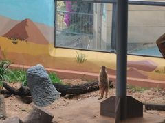 -昆明动物园