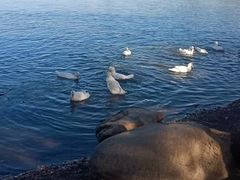 -长春市南湖公园