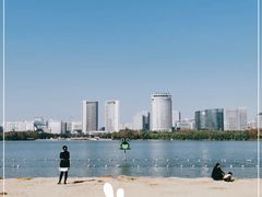 -天鹅湖体育公园