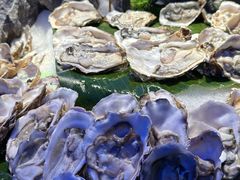 -山海•蒸汽活海鲜自助(皇庭广场店)