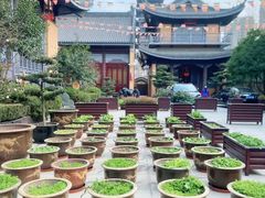 -宁国禅寺·停车场