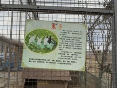 -河北村民俗体验园