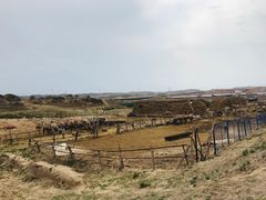 -水洞沟旅游区
