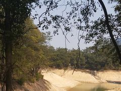 -广州市流溪河国家森林公园