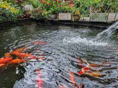 -寻味顺德·南记酒家·传统顺德菜·鱼生(广源路店)