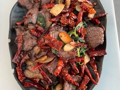 -蘑统田下·野生菌火锅