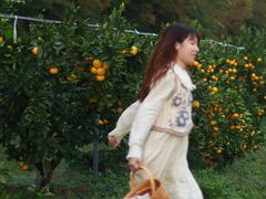 -前小桔亲子创意农场·草莓采摘·露营烧烤