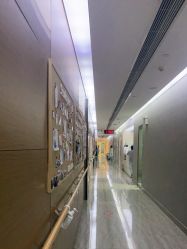 -上海首尔丽格医疗美容医院