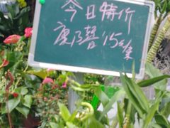 -曲阳花鸟市场(曲阳路店)