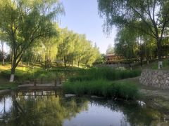 -西安浐灞国家湿地公园