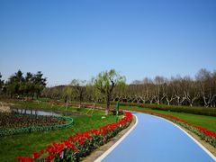 -宜兴龙背山森林公园