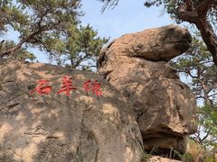 -崂山仰口游览区
