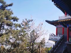 -兰山公园