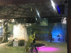 -清迈夜间动物园