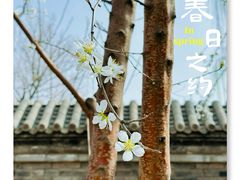 -三里河公园