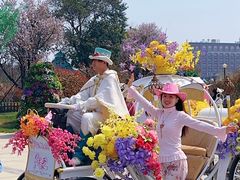 -荷兰花海