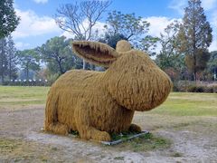 -嘉北郊野公园