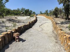 -白水寺森林公园