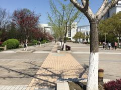 -上海大学宝山-图书馆