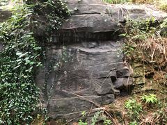 -大唐贡茶院