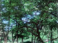 -元大都城垣遗址公园