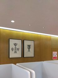 -四川米兰柏羽医学美容医院