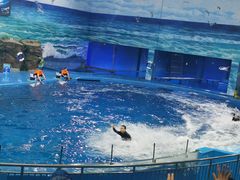 -多彩贵州城极地海洋世界