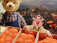 -济州岛泰迪熊博物馆