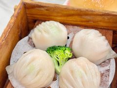 -嘉禧大酒楼(康城广场店)