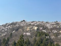 -白水寺森林公园