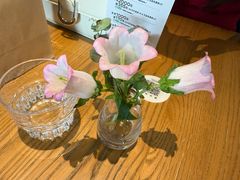 -gaga(深圳南山益田假日广场店)