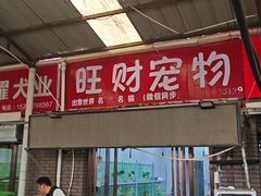 -中环花鸟鱼虫市场