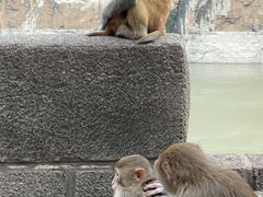 -白帝城·瞿塘峡景区