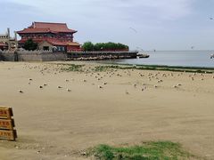-八仙过海景区
