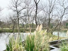 -西溪国家湿地公园