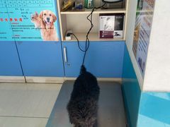 -乖乖乐动物医院(小汤山分院)