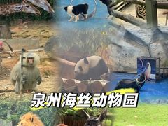 -泉州海丝野生动物世界