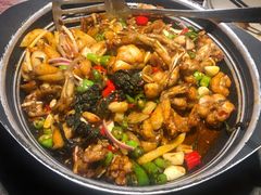 青椒紫苏味-蛙小侠·沸腾砂锅(南山欢乐颂店)