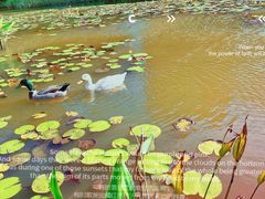-星巴克(深圳前海企业公馆店)