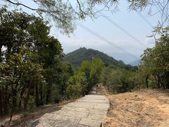 -梧桐山风景名胜区